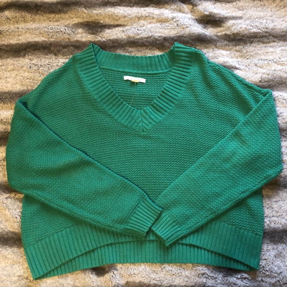American Eagle Cropped Sweater